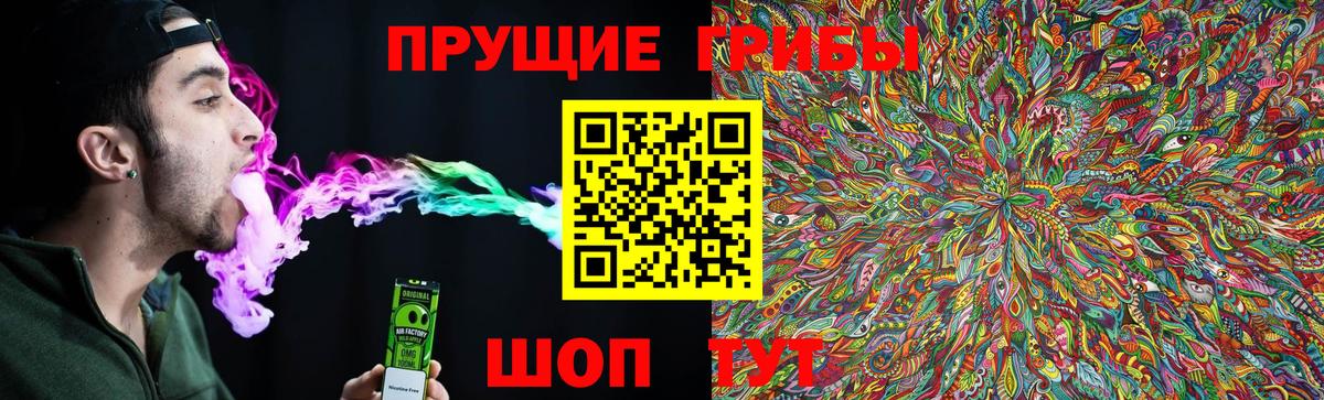 Галлюциногенные грибы Psilocybe Раменское